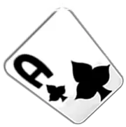 A Black casino